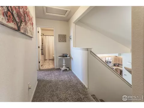 1509 First Light Dr, Windsor, CO 80550 photo 35