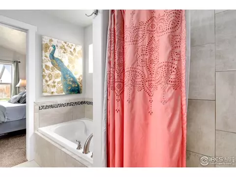 895 Saddleback Dr, Milliken, CO 80543 photo 17