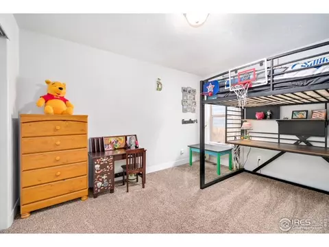 895 Saddleback Dr, Milliken, CO 80543 photo 20