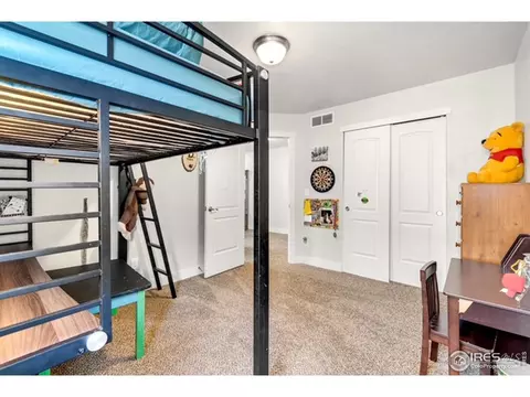 895 Saddleback Dr, Milliken, CO 80543 photo 21
