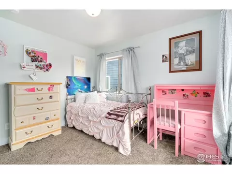 895 Saddleback Dr, Milliken, CO 80543 photo 18