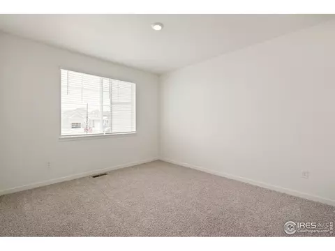 1826 Hydrangea Dr, Windsor, CO 80550 photo 16
