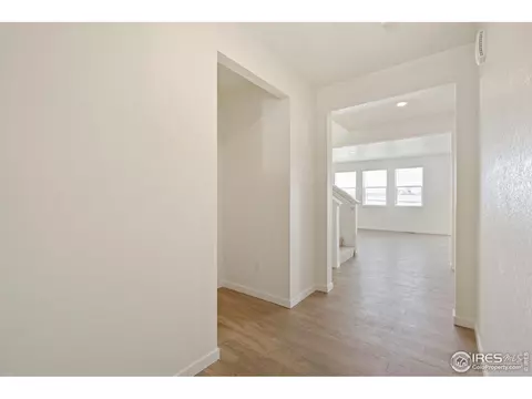 1826 Hydrangea Dr, Windsor, CO 80550 photo 2
