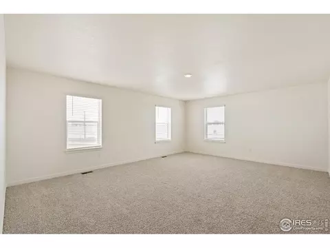 1826 Hydrangea Dr, Windsor, CO 80550 photo 19