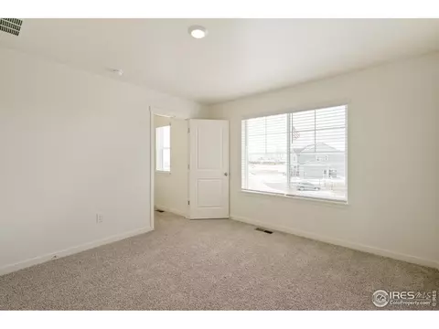 1826 Hydrangea Dr, Windsor, CO 80550 photo 17
