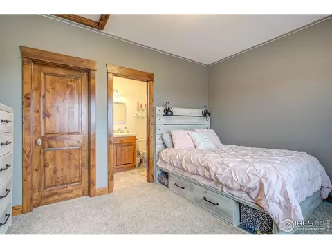 5565 Far View Ct, Windsor, CO 80550 photo 25
