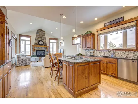 5565 Far View Ct, Windsor, CO 80550 photo 27
