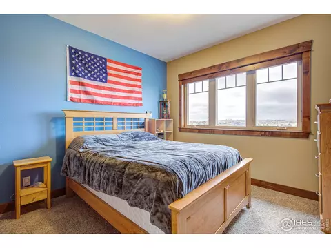 5565 Far View Ct, Windsor, CO 80550 photo 24