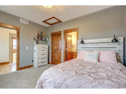 5565 Far View Ct, Windsor, CO 80550 photo 23