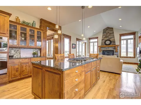 5565 Far View Ct, Windsor, CO 80550 photo 31