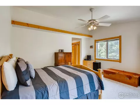 325 Flint Gulch Rd, Lyons, CO 80540 photo 16