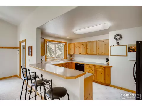 325 Flint Gulch Rd, Lyons, CO 80540 photo 14