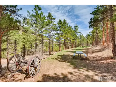 325 Flint Gulch Rd, Lyons, CO 80540 photo 4