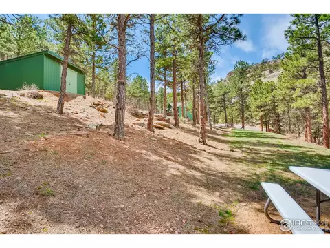325 Flint Gulch Rd, Lyons, CO 80540 photo 5