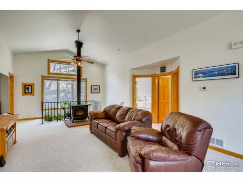 325 Flint Gulch Rd, Lyons, CO 80540 photo 7