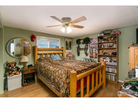 117 Mountain Ave, Berthoud, CO 80513 photo 14