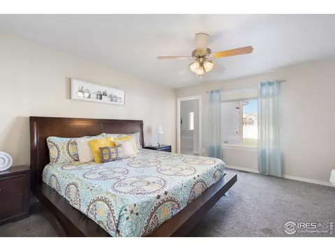 641 Wind River Ct, Windsor, CO 80550 photo 15