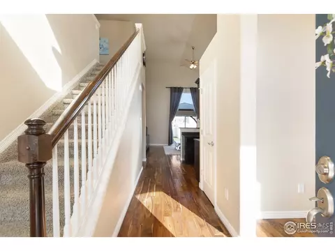 641 Wind River Ct, Windsor, CO 80550 photo 7