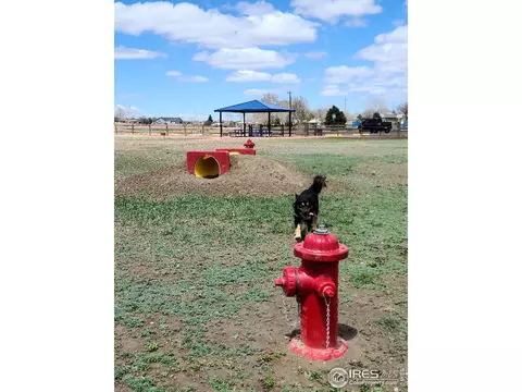 518 Broadview Dr, Severance, CO 80550 photo 39