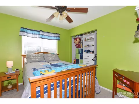 518 Broadview Dr, Severance, CO 80550 photo 19