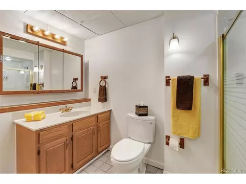 1729 E 83rd Dr, Denver, CO 80229 photo 26