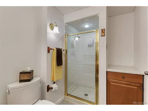 1729 E 83rd Dr, Denver, CO 80229 photo 27