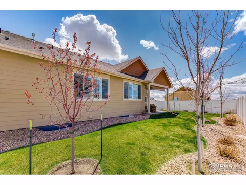 705 Mt Evans Ave, Severance, CO 80550 photo 32