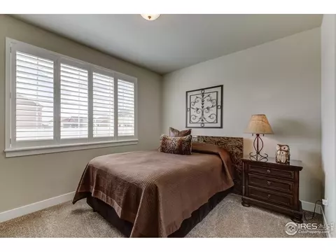 705 Mt Evans Ave, Severance, CO 80550 photo 21