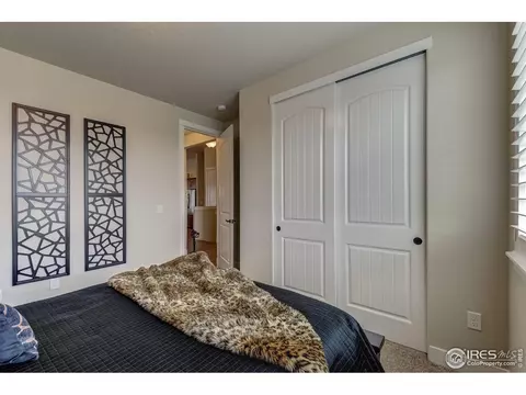 705 Mt Evans Ave, Severance, CO 80550 photo 24