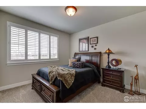 705 Mt Evans Ave, Severance, CO 80550 photo 23