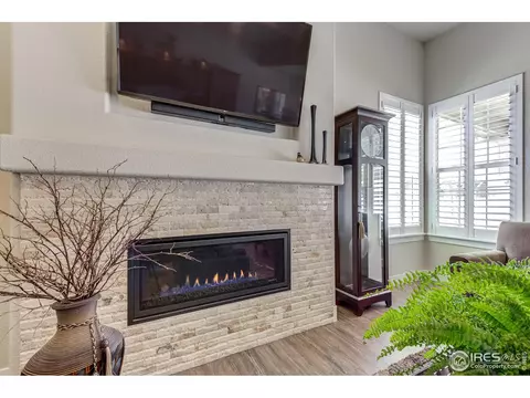 705 Mt Evans Ave, Severance, CO 80550 photo 4