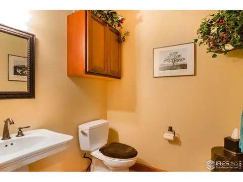 1268 Falcon Ct, Windsor, CO 80550 photo 15
