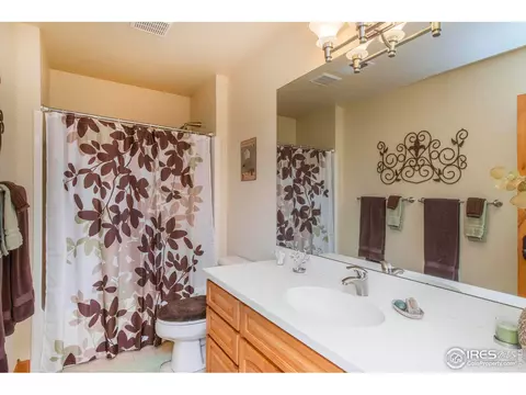 1268 Falcon Ct, Windsor, CO 80550 photo 24