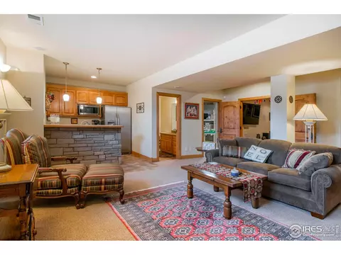 1268 Falcon Ct, Windsor, CO 80550 photo 29