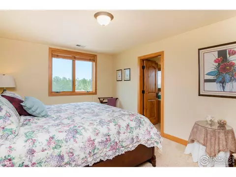 1268 Falcon Ct, Windsor, CO 80550 photo 28
