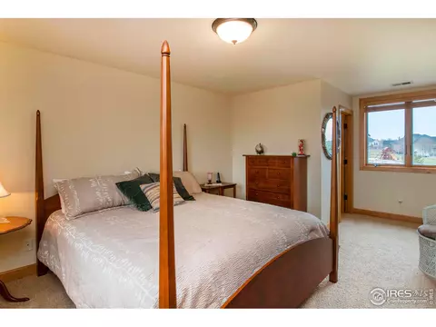 1268 Falcon Ct, Windsor, CO 80550 photo 23