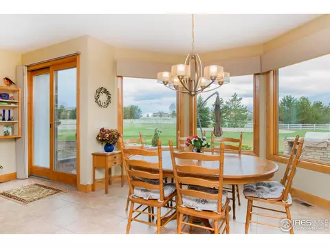 1268 Falcon Ct, Windsor, CO 80550 photo 13