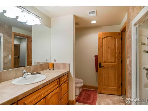 1268 Falcon Ct, Windsor, CO 80550 photo 33
