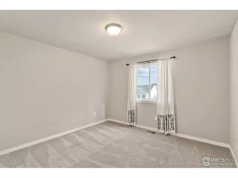 7103 White River Ct, Timnath, CO 80547 photo 20