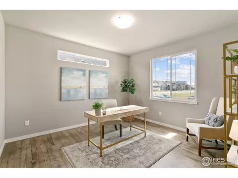 7103 White River Ct, Timnath, CO 80547 photo 22