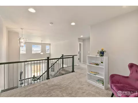 7103 White River Ct, Timnath, CO 80547 photo 25