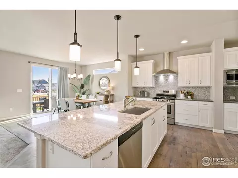 7103 White River Ct, Timnath, CO 80547 photo 7