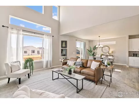 7103 White River Ct, Timnath, CO 80547 photo 10