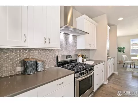 7103 White River Ct, Timnath, CO 80547 photo 6