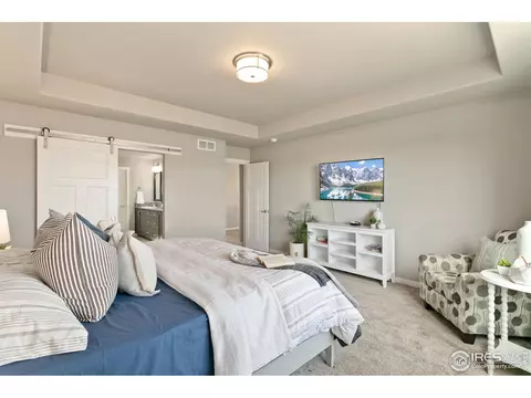 7103 White River Ct, Timnath, CO 80547 photo 14