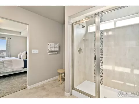 7103 White River Ct, Timnath, CO 80547 photo 16