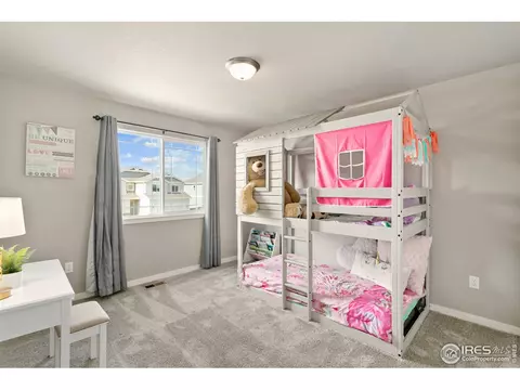 7103 White River Ct, Timnath, CO 80547 photo 19