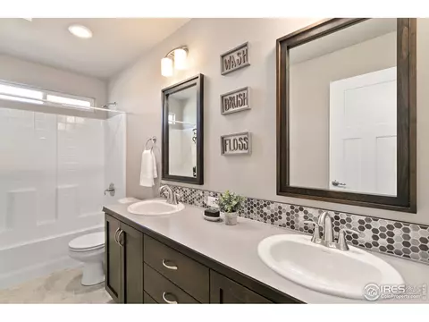 7103 White River Ct, Timnath, CO 80547 photo 21