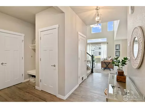 7103 White River Ct, Timnath, CO 80547 photo 24