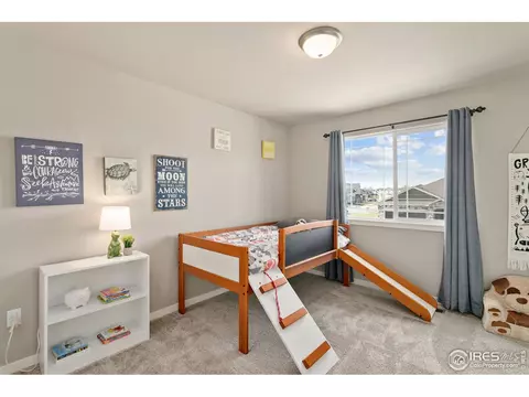 7103 White River Ct, Timnath, CO 80547 photo 18